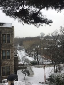 Yonsei Campus Winter