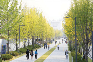 Yonsei Campus Summer