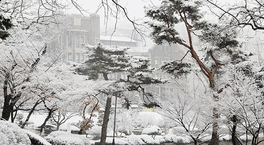 Korea: Yonsei University: Winter Abroad at Yonsei (WAY) - UAlbany Study ...